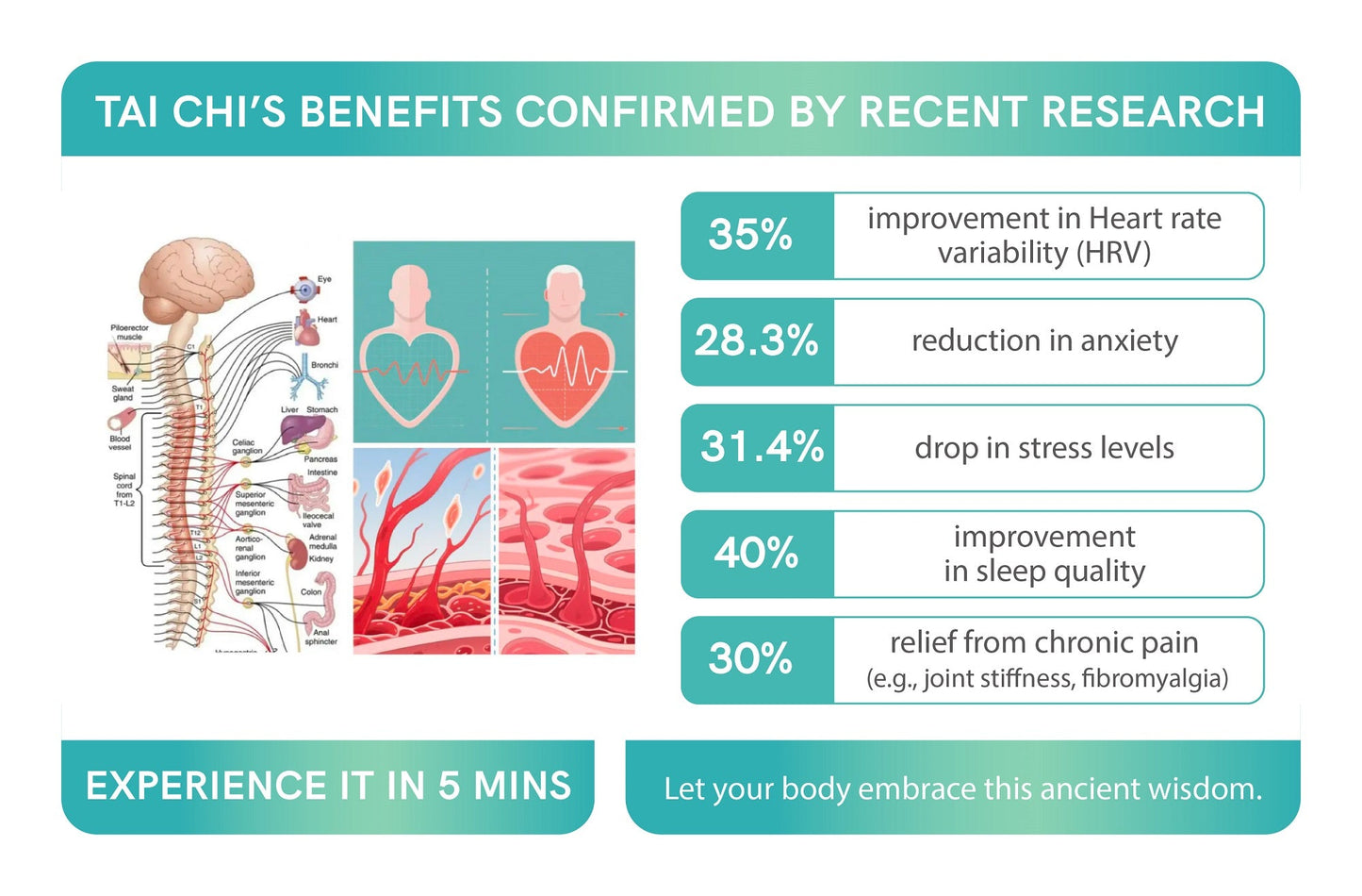 Yang Style Tai Chi Foundations (Ch. 1–14) | Complete Movements, Stretching, Breathing & Follow-Along Videos