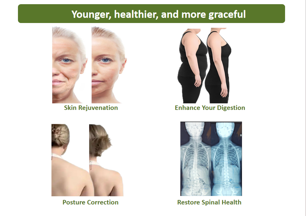 Yang Style Tai Chi Foundations (Ch. 1–14) | Complete Movements, Stretching, Breathing & Follow-Along Videos